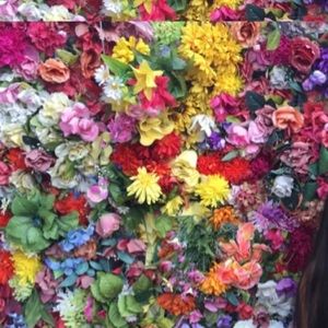 Meet your Posher, Alejandra